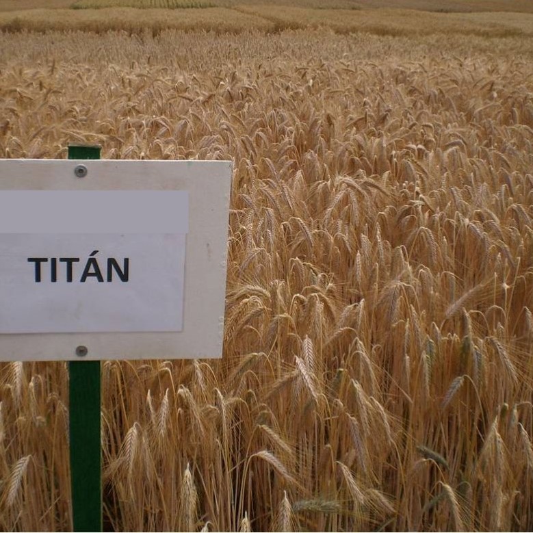 Titán 