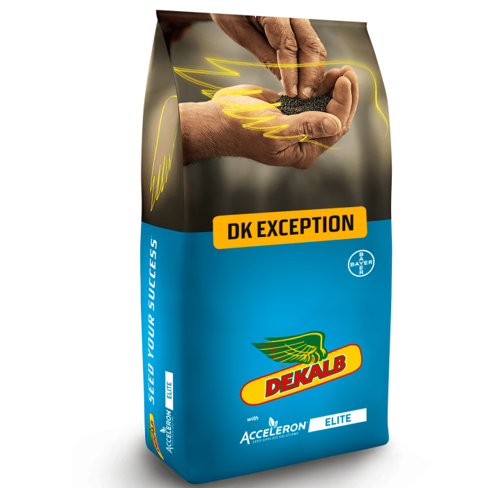 DK Exception