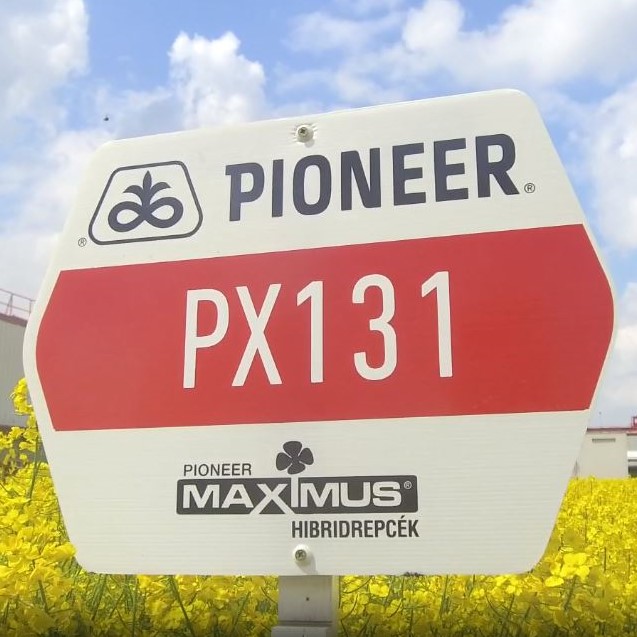 PX131