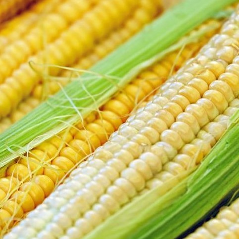 Dessert 72 csávázott